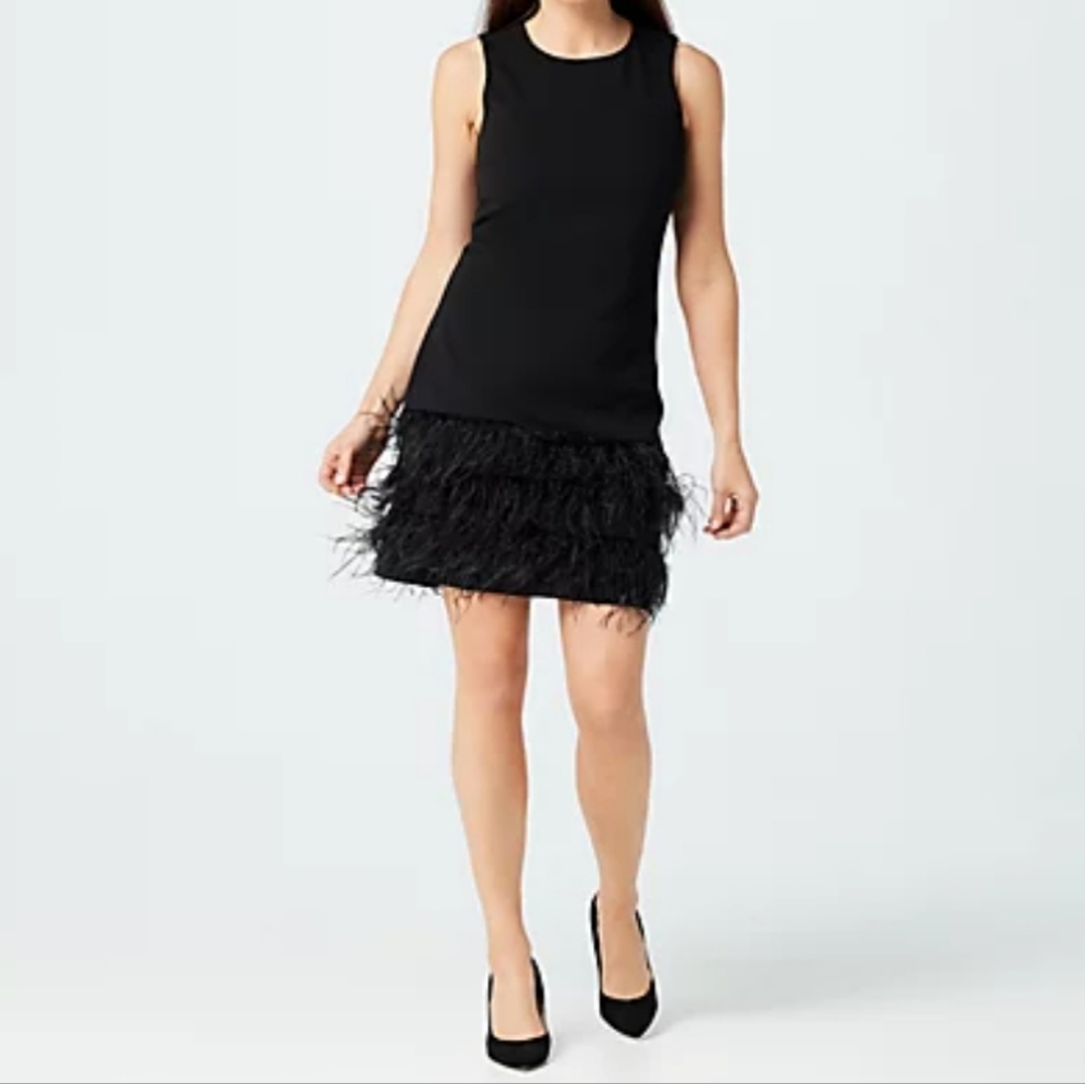 Sam Edelman sheath black mini dress sleeveless layered feathers hem size 2